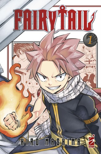 Fairy tail variant cover - fairy,