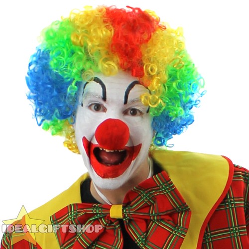 Parrucca clown multicolore - clown,