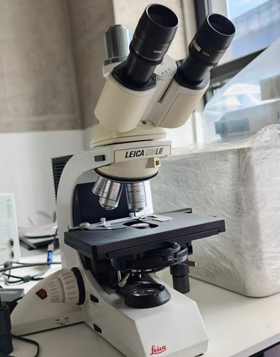 Leica dmlb microscopio - leica,