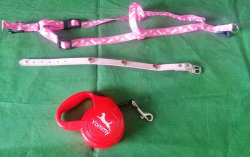 Set accessori cucciolo - accessori, cane