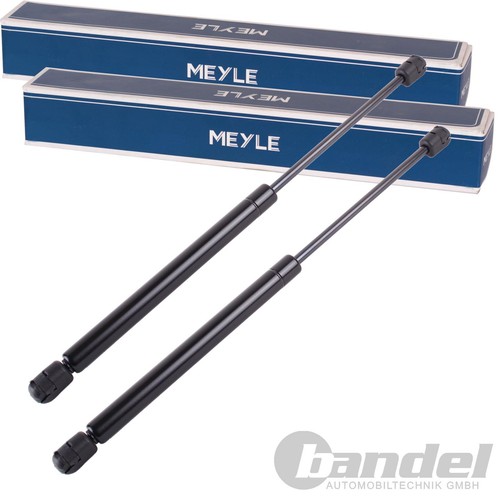 Molle gas meyle cofano - a,