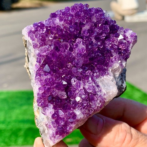 231g ametista naturale geode - ametista,