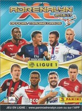 OGC NICE - CARTE FOOT PANINI -