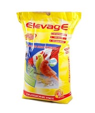 Scagliola elevage 20 - elevage,