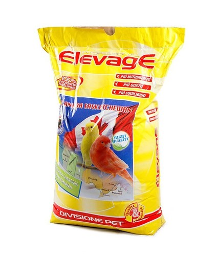 Scagliola elevage 20 - scagliola,