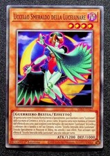 UCCELLO SMERALDO DELLA