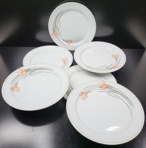 Set piatti schonwald rosa - (6),
