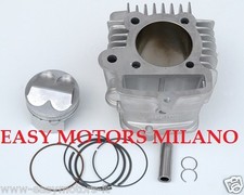 119.0090 GRUPPO TERMICO POLINI