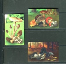 SAN MARINO 3 SCHEDE TELEFONICHE FUNGHI