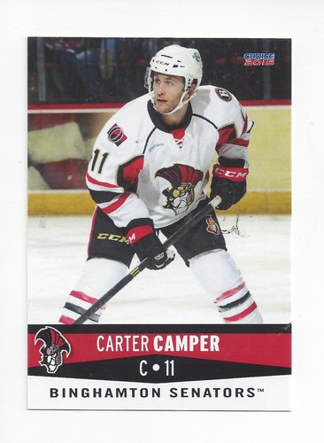 2014 binghamton senators - 2014-15,
