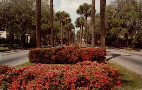 Victory drive savannah - victory,