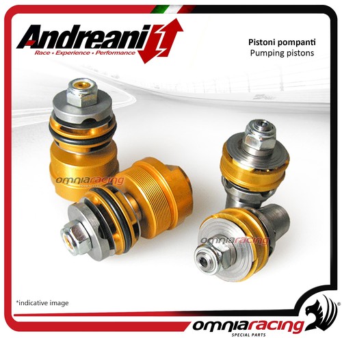 Andreani kit pistoni pompanti