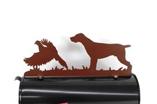 Puntatore tedesco a pelo corto