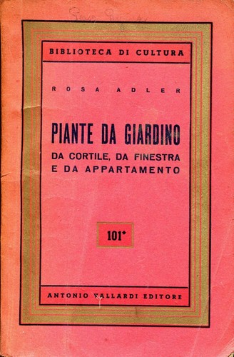 Rosa adler piante - rosa,