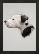 Pitbull cucciolo ritratto