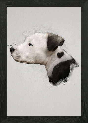 Pitbull cucciolo ritratto