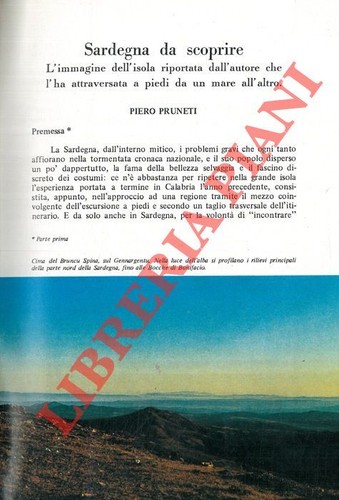 Sardegna viaggi pruneti - -,