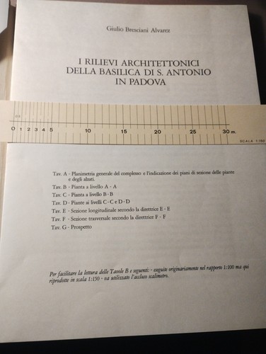 Giulio bresciani alvarez - giulio,