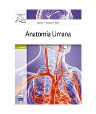 Anatomia umana, Martini