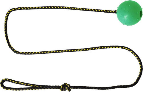 Dingo palla per cani - dingo,