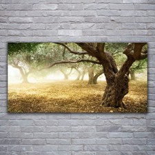 Stampa acrilica arte da parete