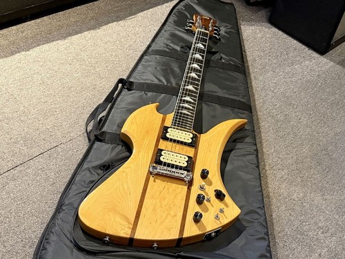Chitarra elettrica aria - elettrica, pro