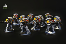 Primaris Intercessors Space wolves warhammer 40K * COMMISSIONE ** pittura