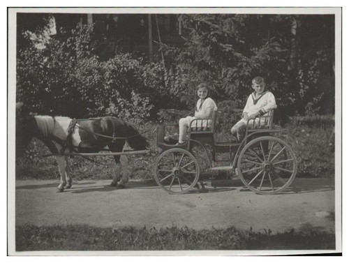 Xx2751 carrozza pony foto - xx2751/carrozza,