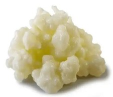 10gr. DI GRANULI DI KEFIR DI