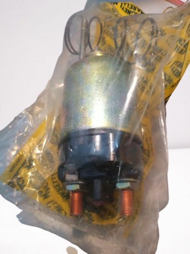 Elettrocalamita marelli - elettrocalamita,