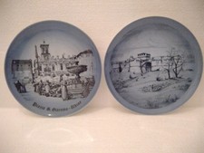 COPPIA PIATTI COPENAGHEN