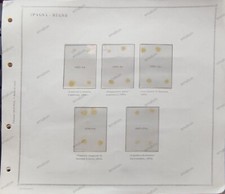 FOGLI D'ALBUM MARA Torino - SPAGNA REGNO - ANNO 1977, 1981/82  ( PAGINE 26 )