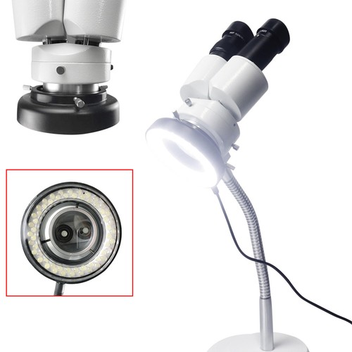 10x microscopio binoculare - 10x,