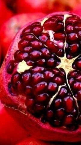 Pianta melograno soft - di, seed
