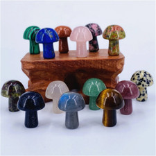 25pz Mini Cristallo Funghi