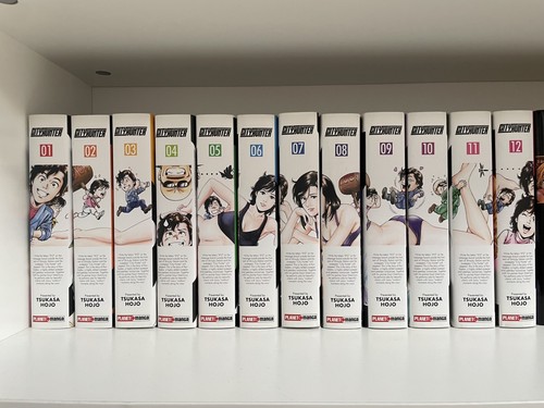 City hunter xyz - manga, completo