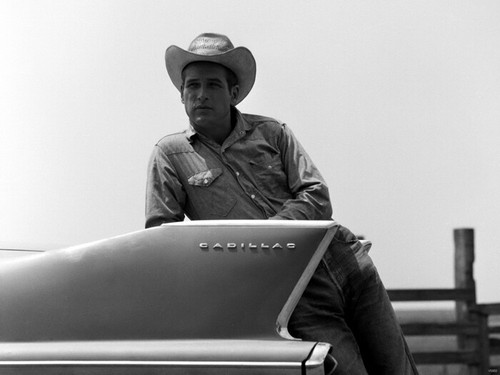 V5950 paul newman cowboy - paul,