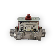 Valvola Gas SGV100 C1100018