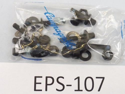 Viti campagnolo eps v3 - viti, v2