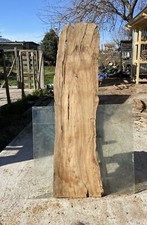 Tavola di legno di ulivo 153