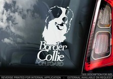 Adesivo auto Border Collie -