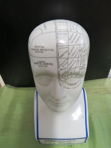 Phrenology head fowler - phrenology,