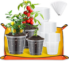 Pezzi vasi per orchidee - 30,