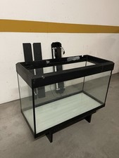 Acquario Askoll Stilus 100L (80x35) con plafoniera e pompa aria Pontec