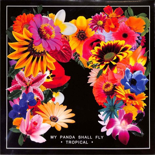 Panda shall fly - my,