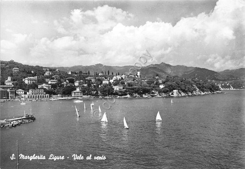 Cartolina santa margherita - cartolina,