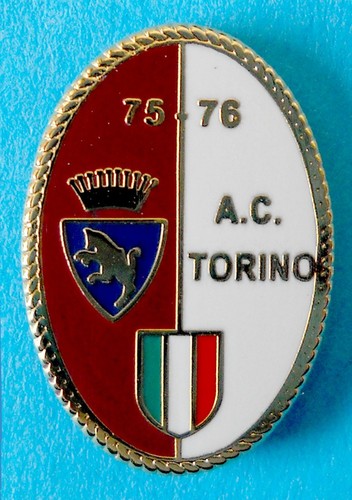 Distintivo spilla pin badge - distintivo,