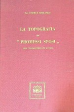 LA LA TOPOGRAFIA DEI PROMESSI