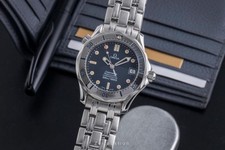 Omega Seamaster Professional