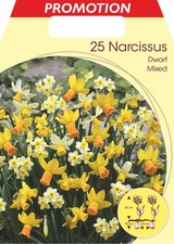 BULBI AUTUNNALI NARCISI DWARF MIXED CONFEZIONE DA 25 BULBI BULBS BULBES